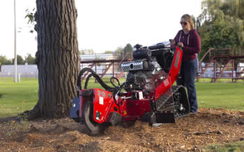 stump grinding DeRidder LA